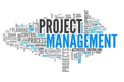 it-project-manager