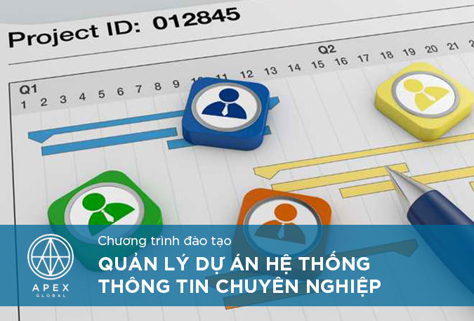 IS Project Management VN