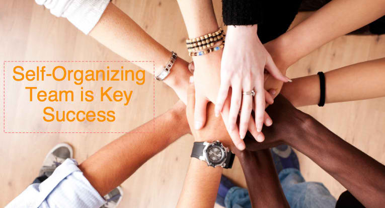 Self-Organizing: Làm sao để xây dựng Đội tự quản trong dự án Agile?