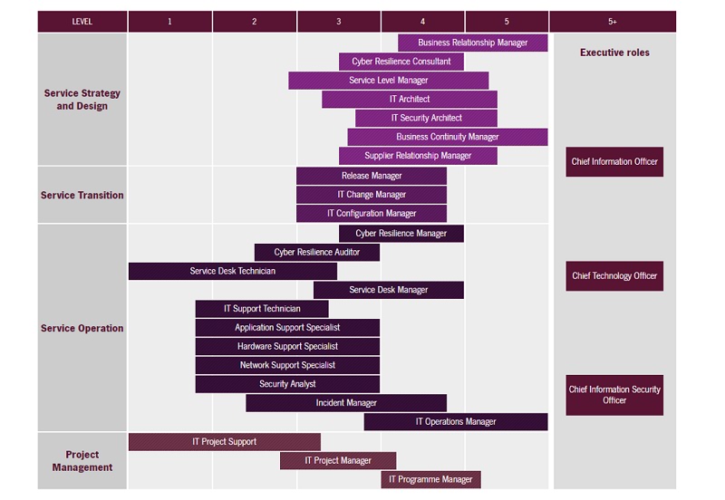 ITSM Career Path-Apex Global
